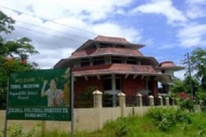 উপজাতীয় যাদুঘর