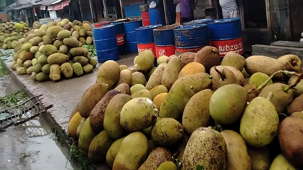 রাঙামাটির কাঁঠাল